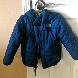 the North Face Reversible Jacket